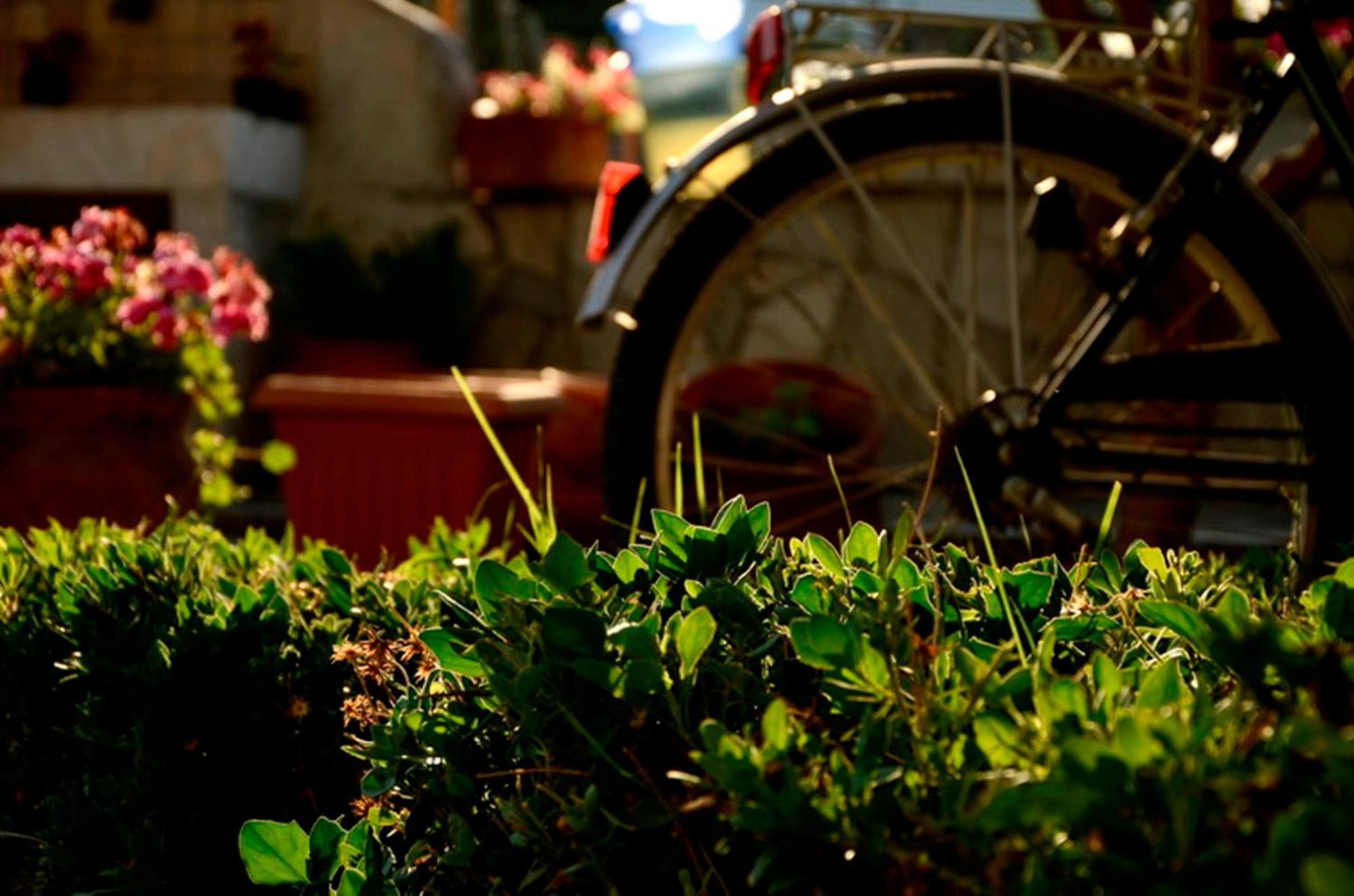 Apartamento Garden House Velika  Exterior foto
